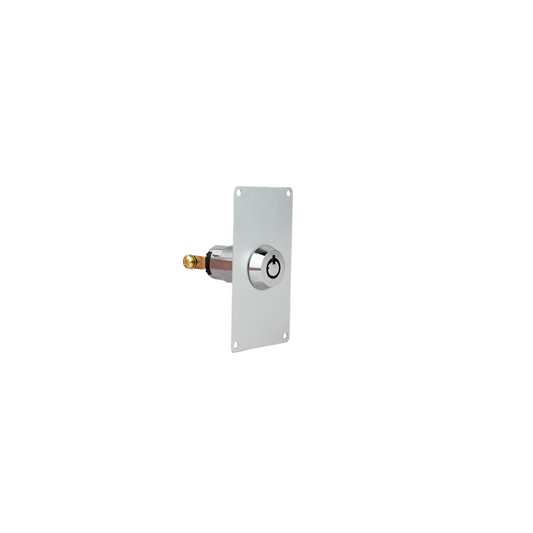 AVP-1 Electric Key switch